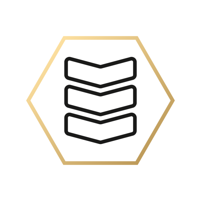 icones_militaire-acc-et-fac.png